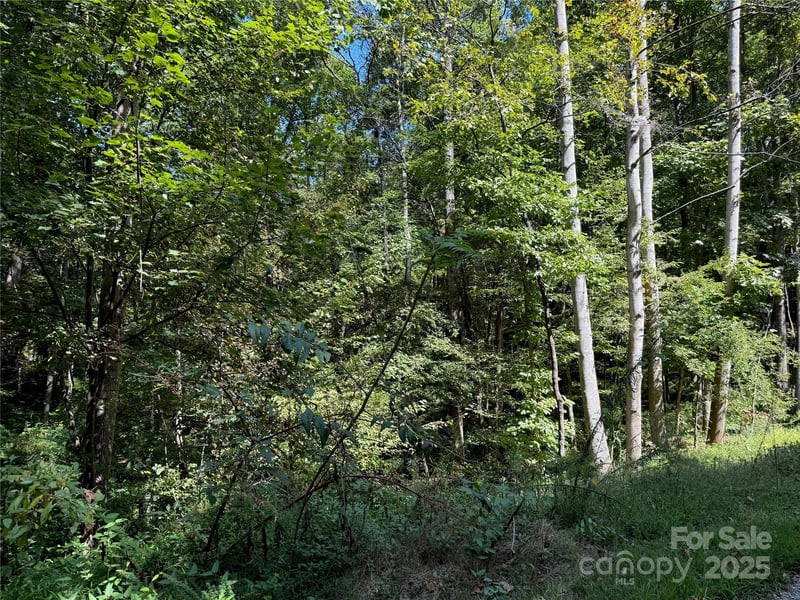 302 Didio Cir, Mooresville, NC 28115