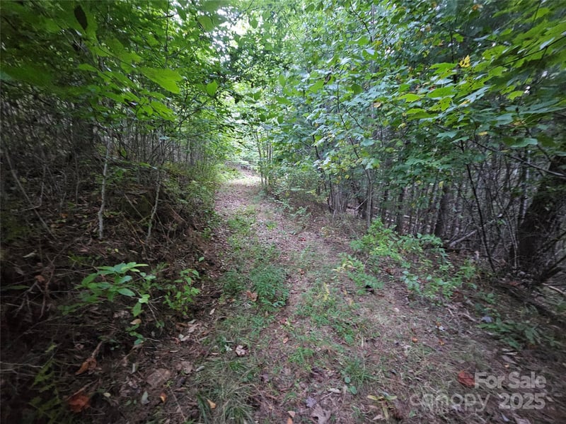 000 Double Island Rd, Green Mountain, NC 28740