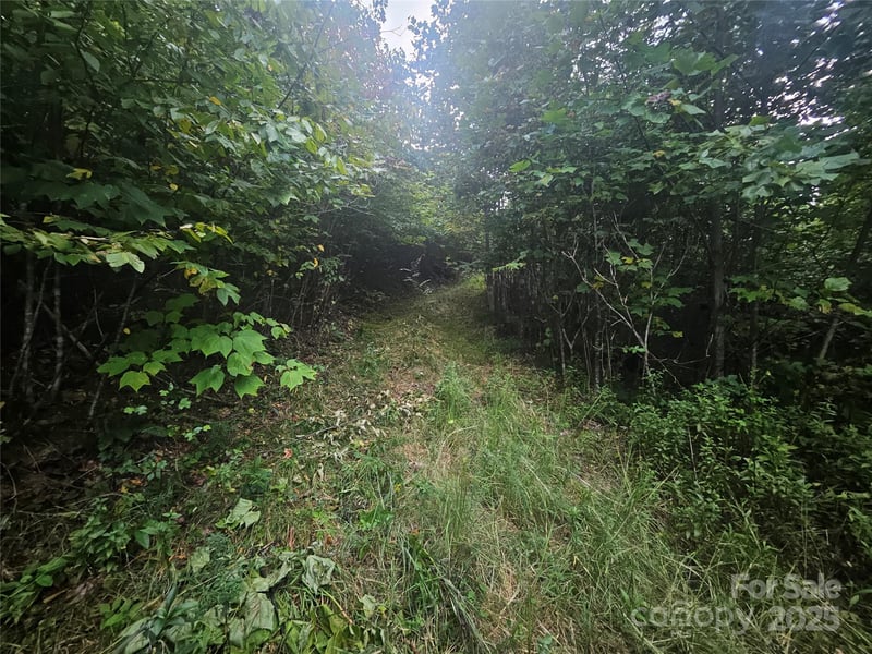 000 Double Island Rd, Green Mountain, NC 28740