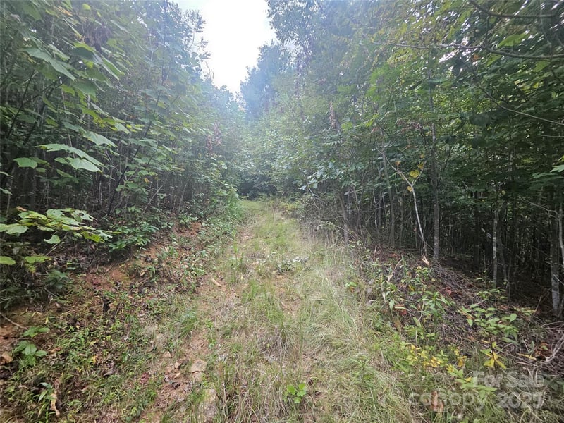 000 Double Island Rd, Green Mountain, NC 28740