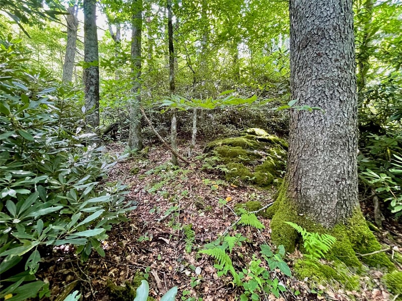 125 Stoneledge Ln #125, Blowing Rock, NC 28605