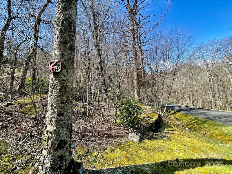 125 Stoneledge Ln #125, Blowing Rock, NC 28605