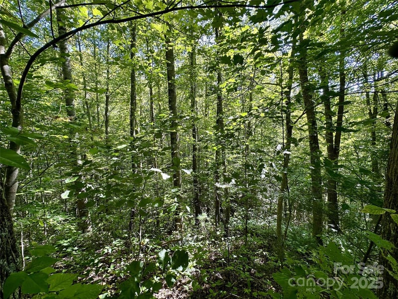 00 Loblolly Way #C11, Maggie Valley, NC 28751