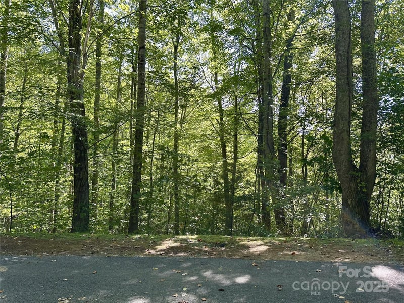 00 Loblolly Way #C11, Maggie Valley, NC 28751