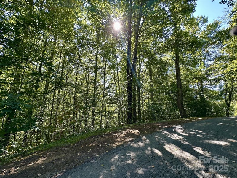 00 Loblolly Way #C11, Maggie Valley, NC 28751