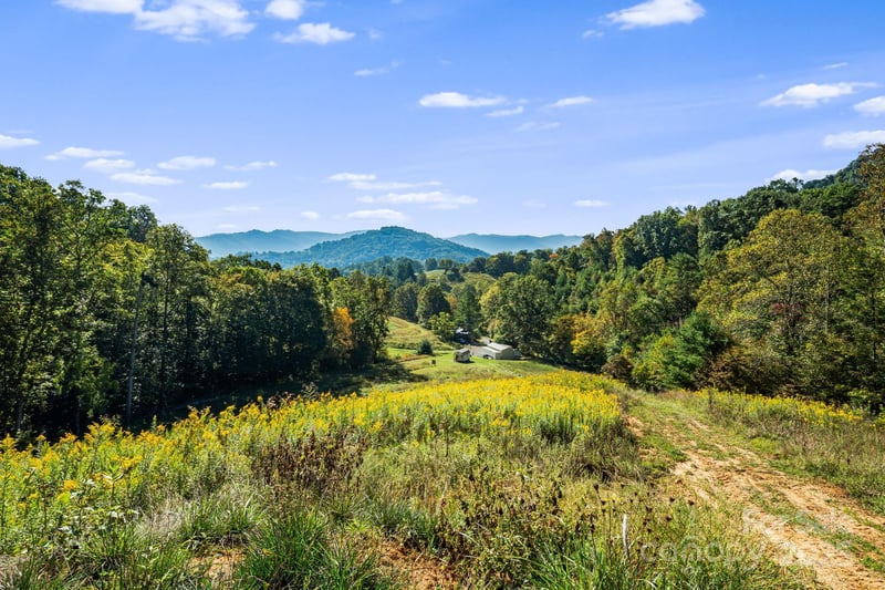 456 - 000 Maney Branch Rd, Burnsville, NC 28714
