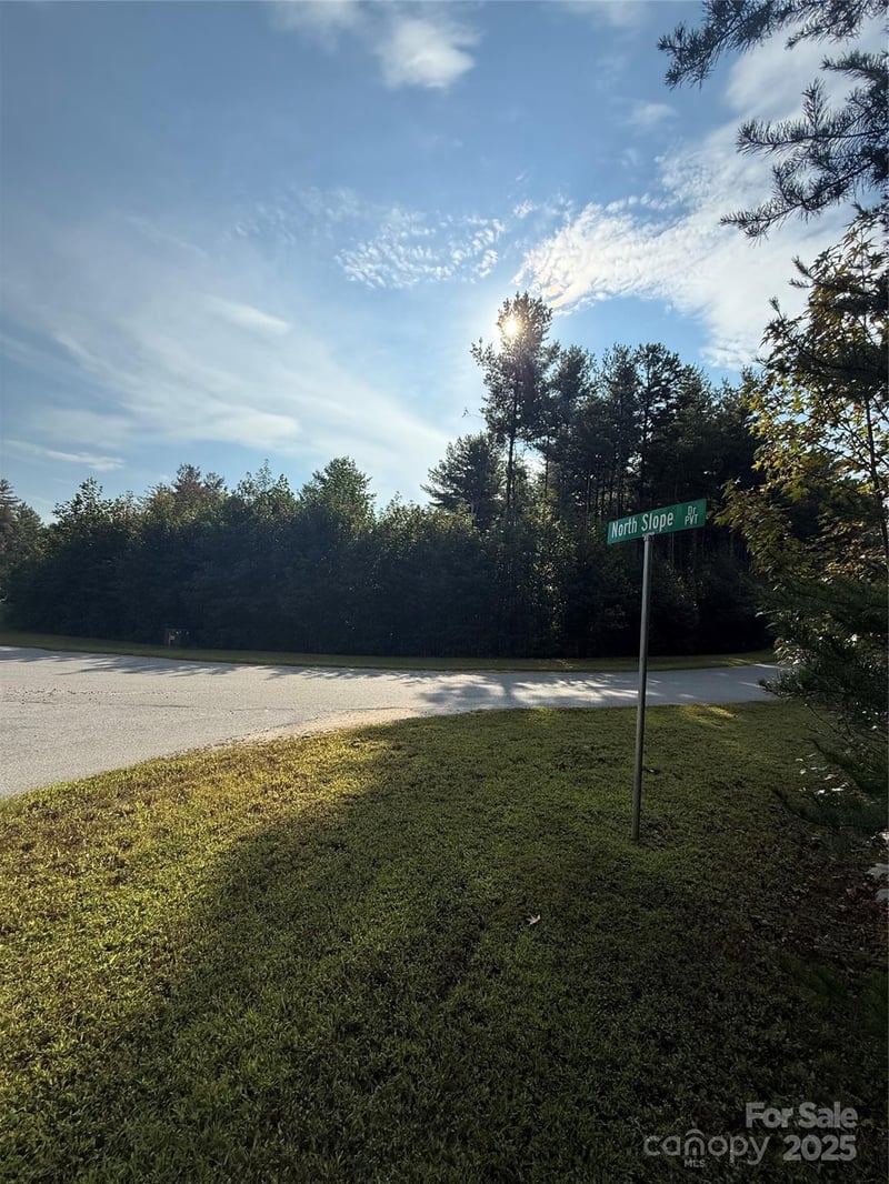 9999 Peninsula Reserve Rd, Nebo, NC 28761