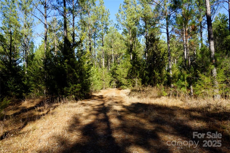 Skyline Dr, Chester, SC 29706