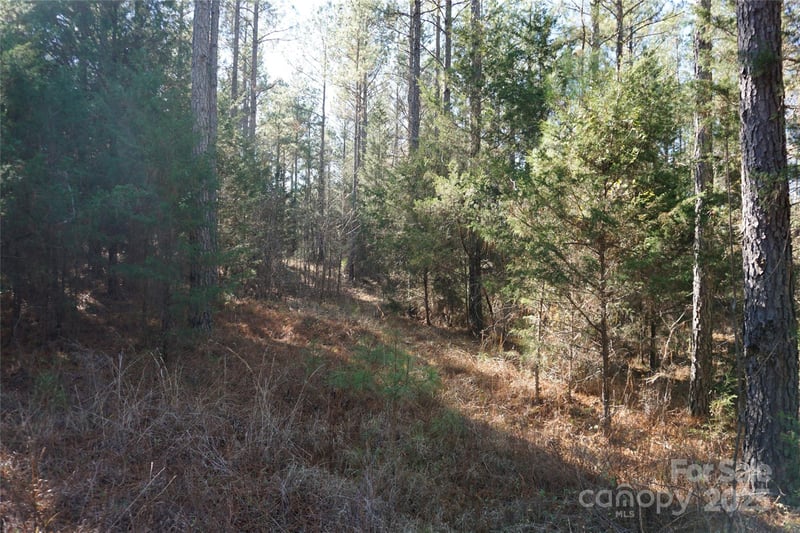 Skyline Dr, Chester, SC 29706