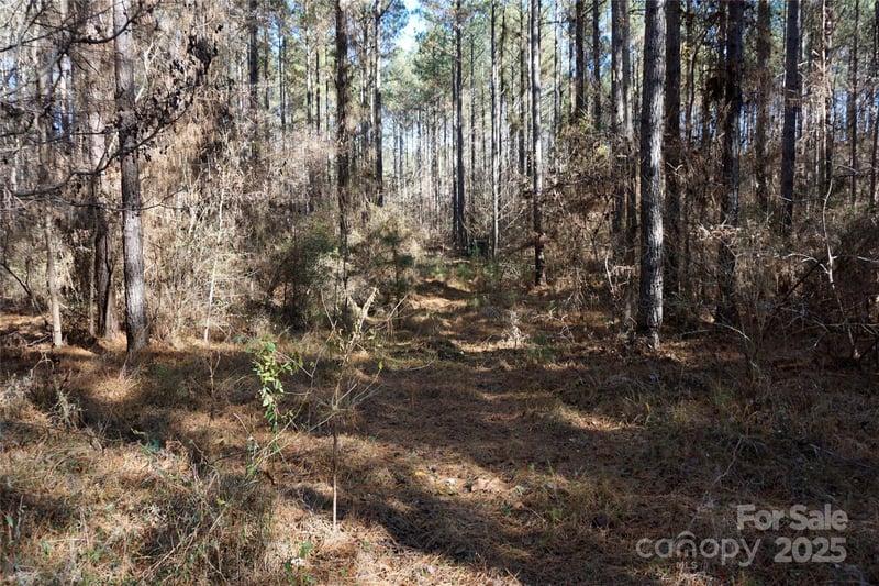 Skyline Dr, Chester, SC 29706