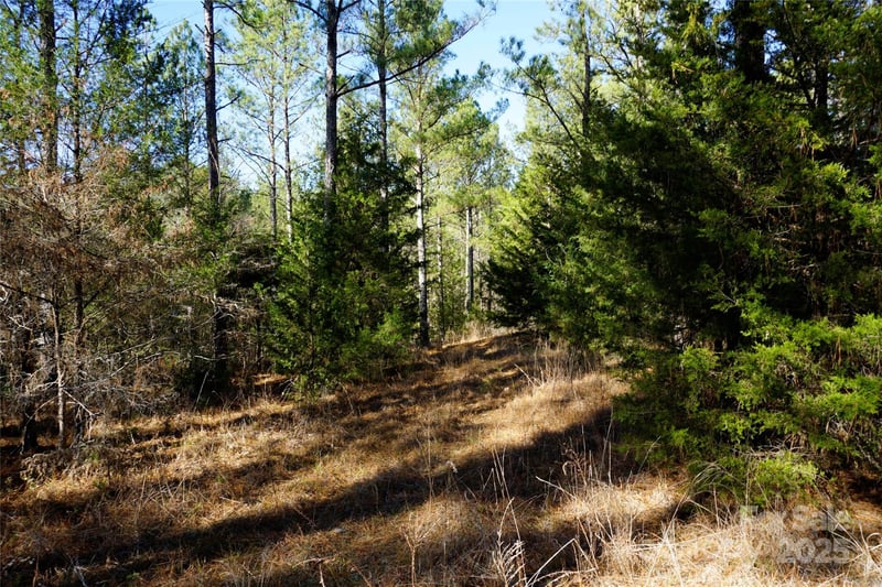 Skyline Dr, Chester, SC 29706