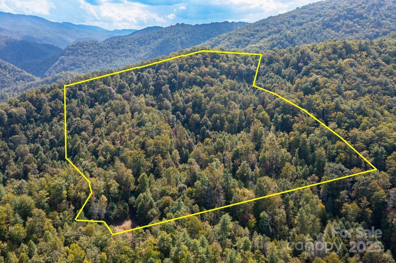 999 Nc 209 Hw #9, Hot Springs, NC 28743
