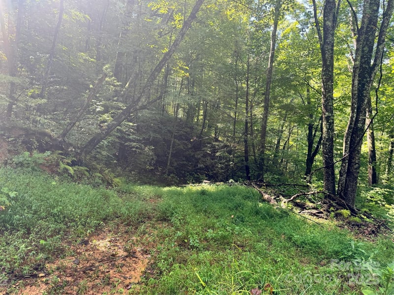 2252 Cutshall Town Rd, Marshall, NC 28753