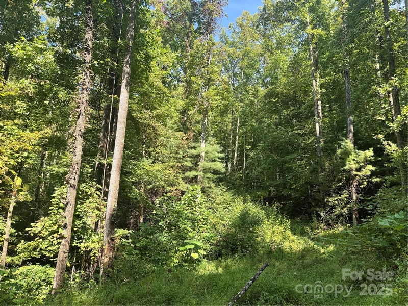 2252 Cutshall Town Rd, Marshall, NC 28753