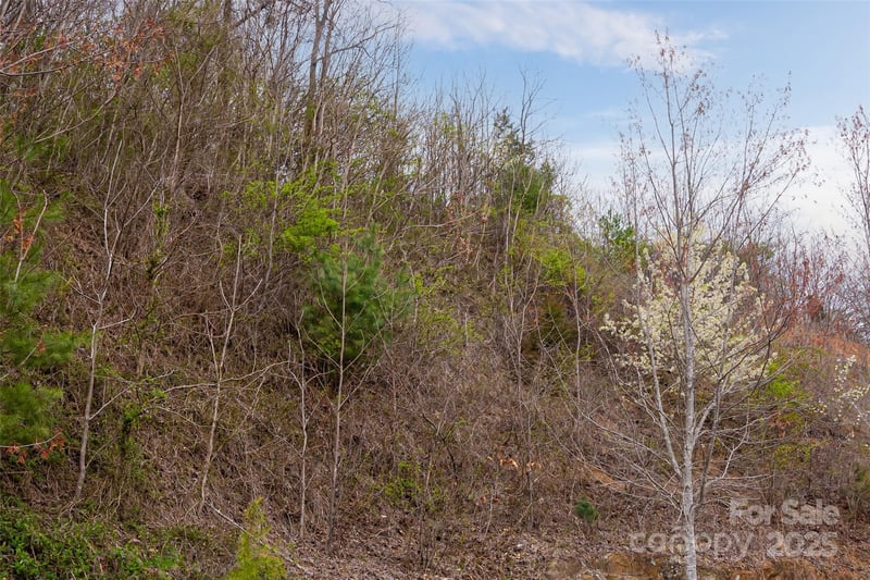 12 Grovepoint Way, Asheville, NC 28804