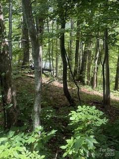 22 Signature Row Blvd, Waynesville, NC 28785