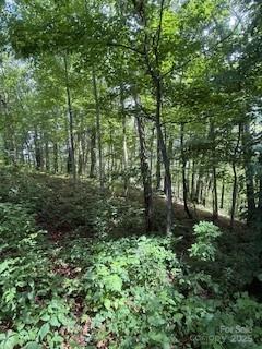 22 Signature Row Blvd, Waynesville, NC 28785