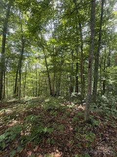 22 Signature Row Blvd, Waynesville, NC 28785