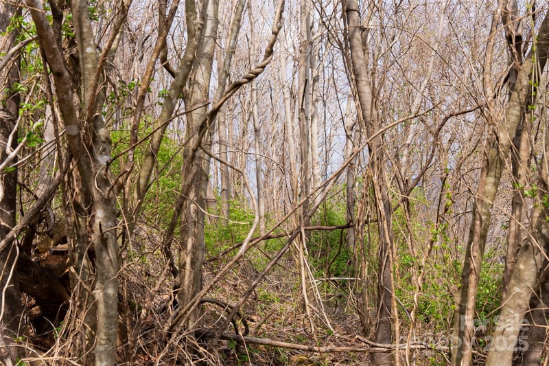 32 Grovepoint Way, Asheville, NC 28804