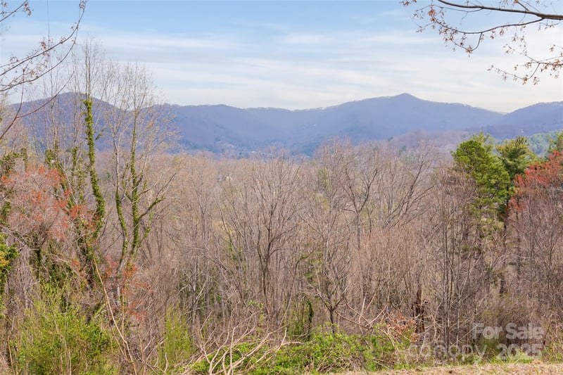 32 Grovepoint Way, Asheville, NC 28804
