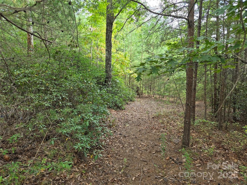 374 Garden Ln, Lake Lure, NC 28746