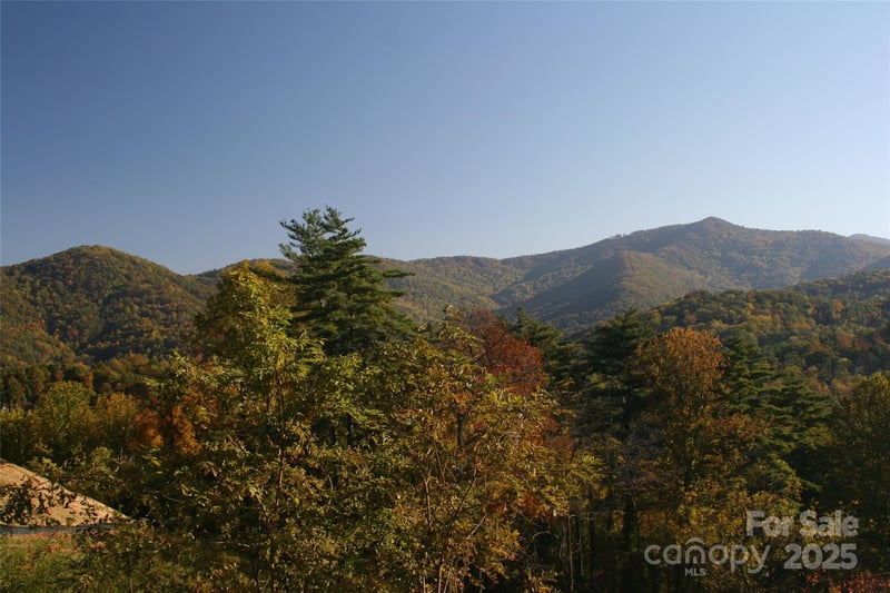 68 Wolfebridge Ln #16, Asheville, NC 28804