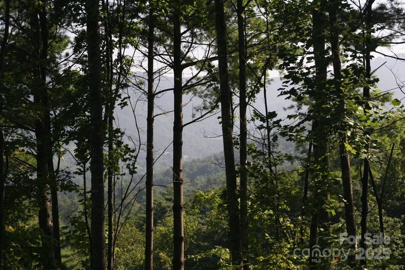 68 Wolfebridge Ln #16, Asheville, NC 28804