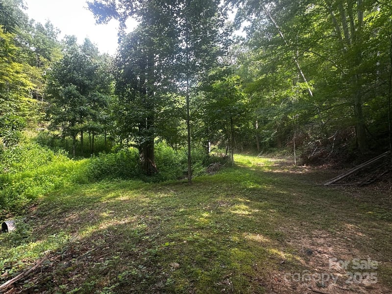 9999 Rock Ledge Dr, Lake Lure, NC 28746
