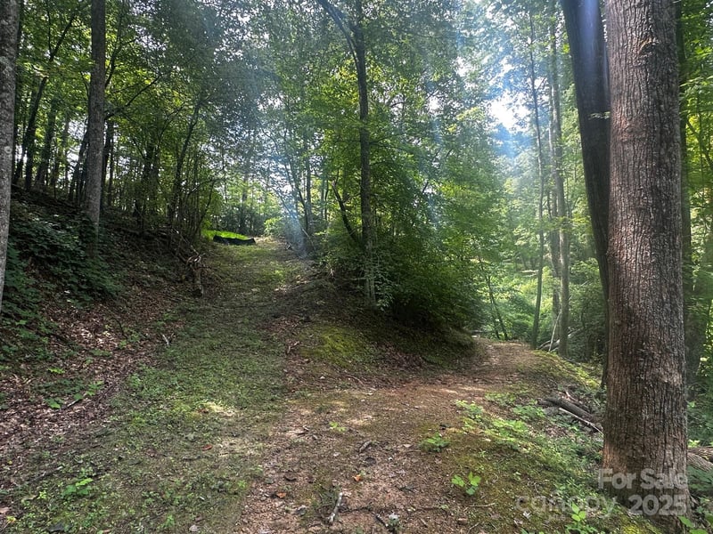 9999 Rock Ledge Dr, Lake Lure, NC 28746