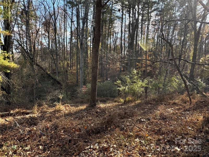 99999 Macedonia Rd, Alexander, NC 28701