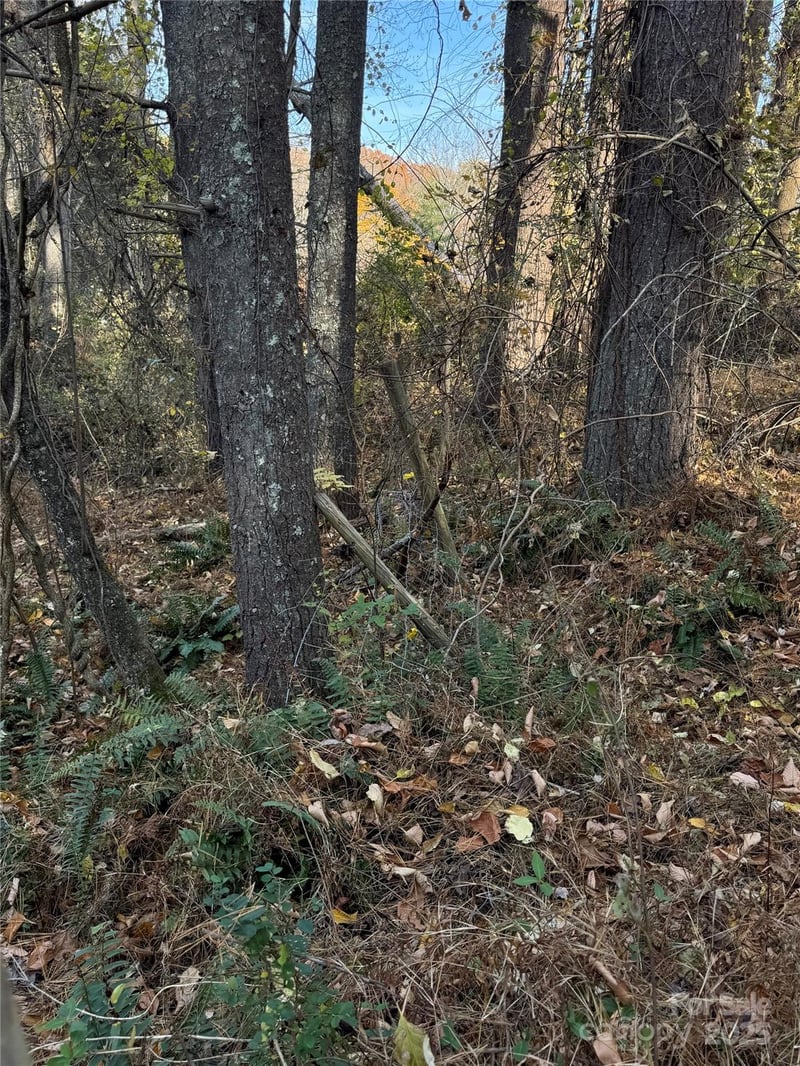 99999 Macedonia Rd, Alexander, NC 28701