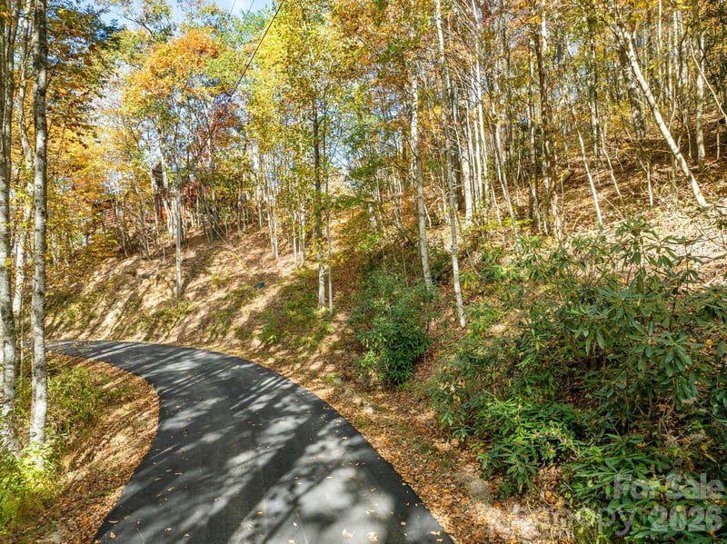 99999 Lytle Cove Rd, Swannanoa, NC 28778