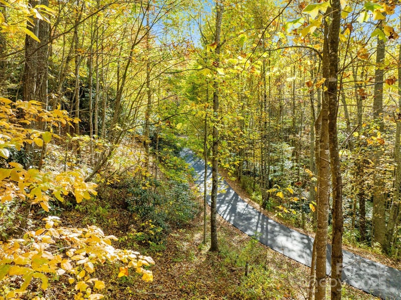 99999 Lytle Cove Rd, Swannanoa, NC 28778