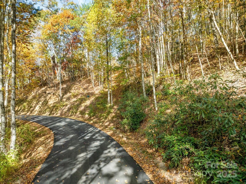 99999 Lytle Cove Rd, Swannanoa, NC 28778