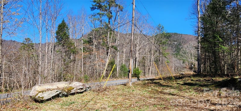 Buffalo Creek Rd #74, Lake Lure, NC 28746