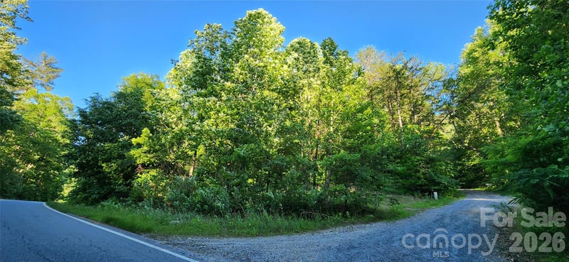 Buffalo Creek Rd #74, Lake Lure, NC 28746