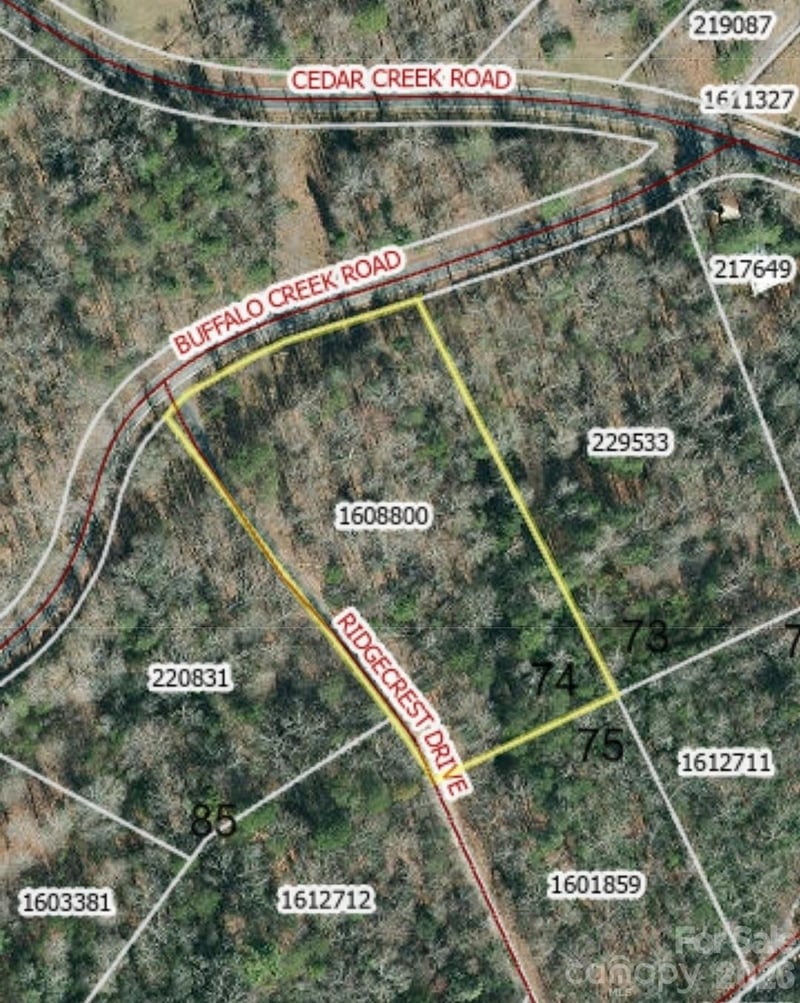 Buffalo Creek Rd #74, Lake Lure, NC 28746