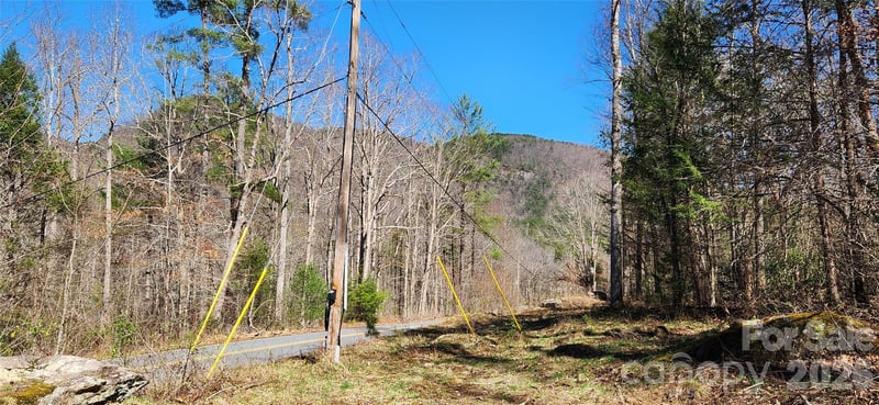 Buffalo Creek Rd #74, Lake Lure, NC 28746