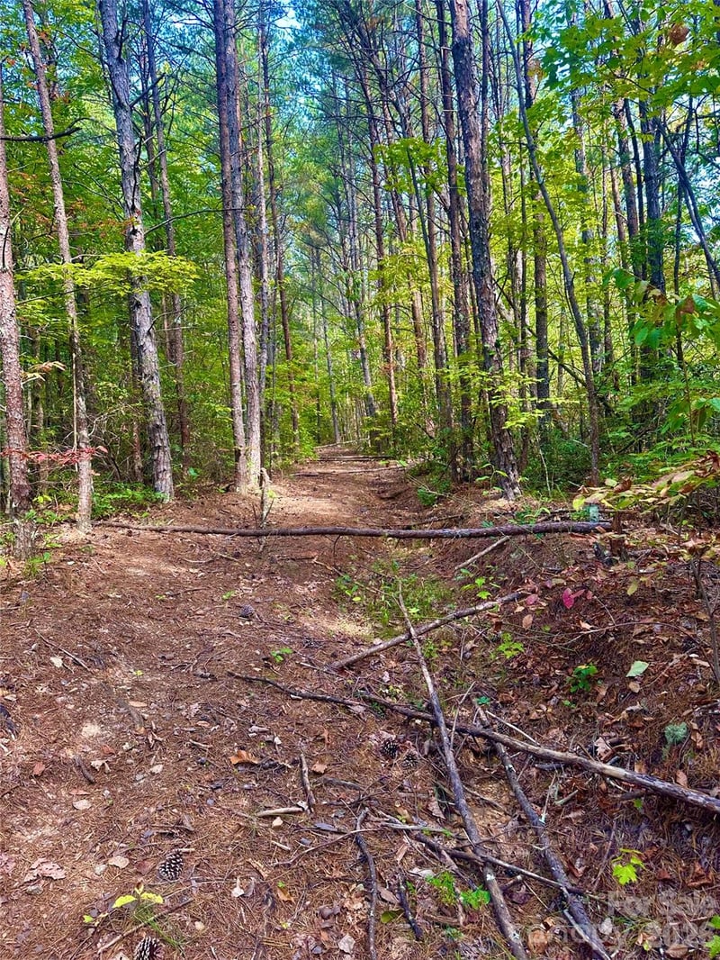 366 Boland Dr, Lake Lure, NC 28746