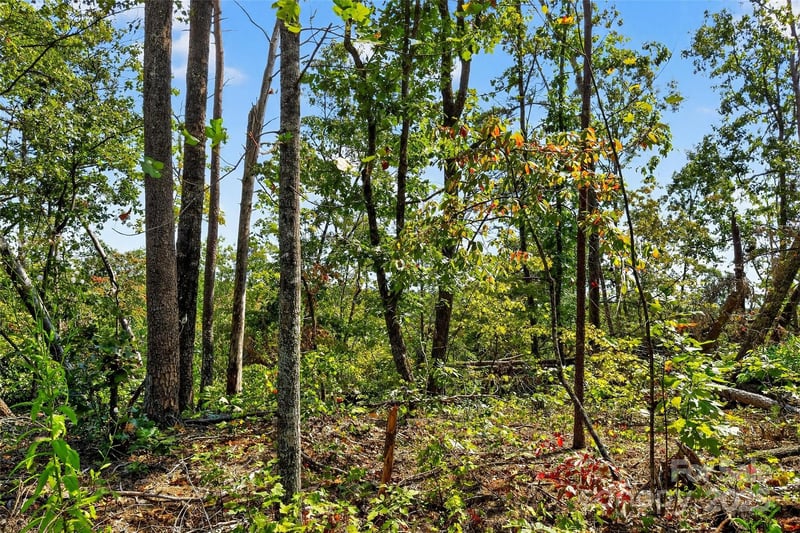 366 Boland Dr, Lake Lure, NC 28746