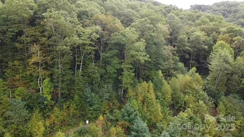 97 Settings Blvd, Black Mountain, NC 28711
