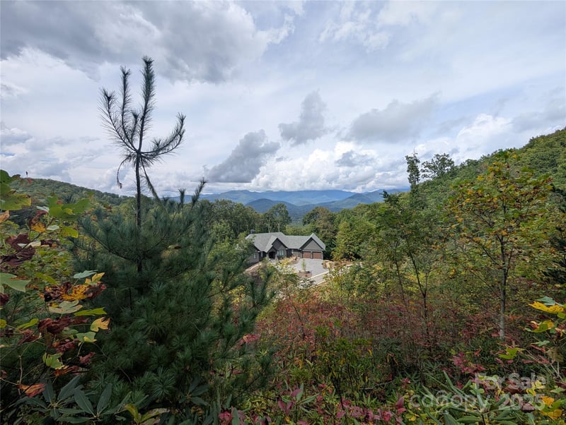 97 Settings Blvd, Black Mountain, NC 28711