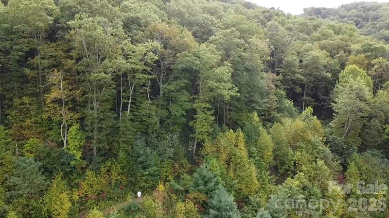 97 Settings Blvd, Black Mountain, NC 28711