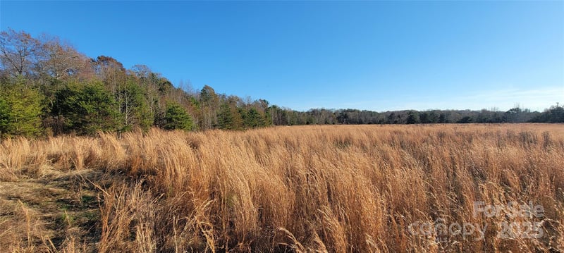 99999 Weaver St, Columbus, NC 28722