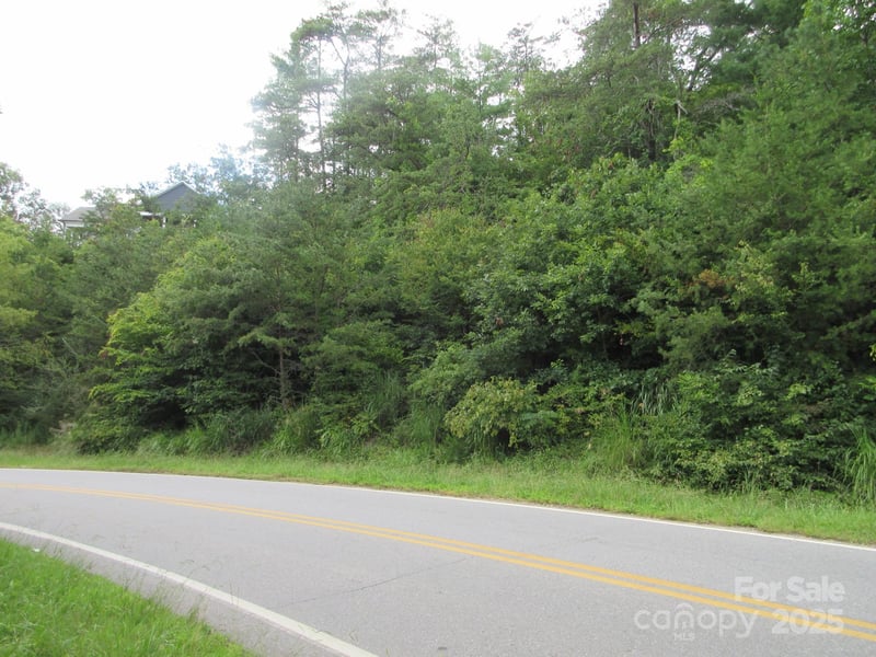 Old Burnsville Rd, Weaverville, NC 28787
