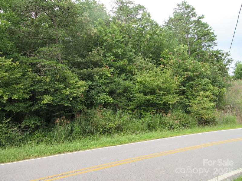 Old Burnsville Rd, Weaverville, NC 28787
