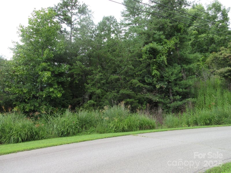 Old Burnsville Rd, Weaverville, NC 28787