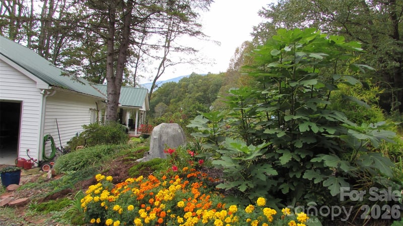 524 Clear Creek Rd, Burnsville, NC 28714