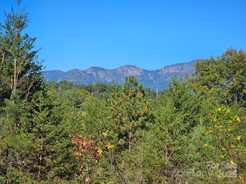 0000 Moss Hill Ln, Lake Lure, NC 28746