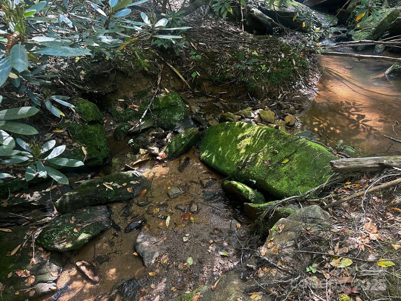 0000 Moss Hill Ln, Lake Lure, NC 28746